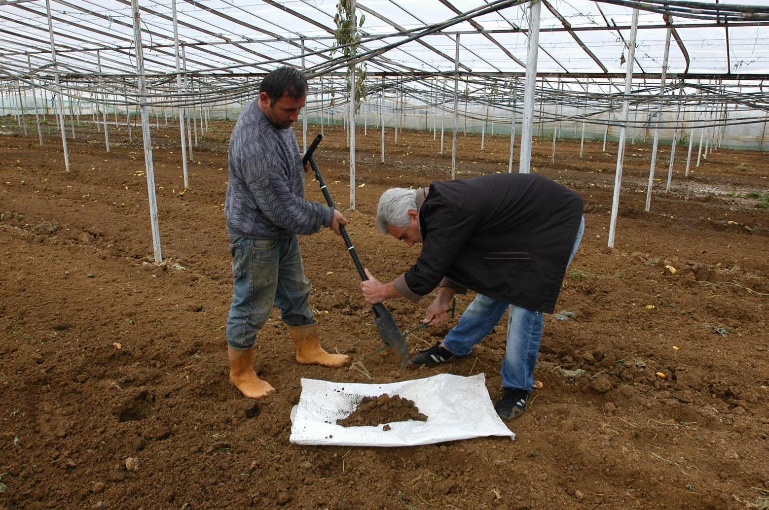 ceviz fidanı toprak analizi